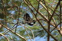  2007-12-10 10.47.23.JPG 